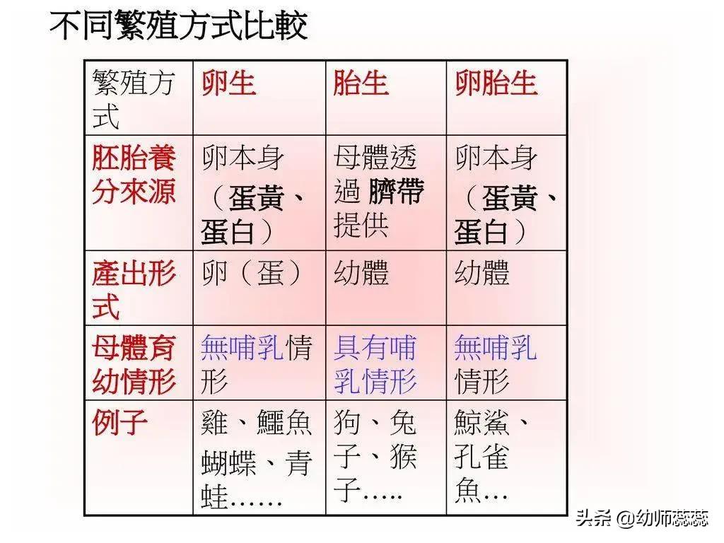 世界上最大的的蛇最怕什么,世界上最大的蛇和最危险的蛇