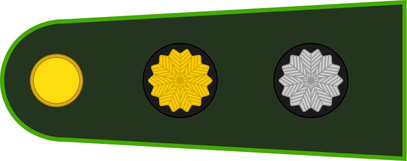 各国军衔标识俄罗斯,各国军衔标识