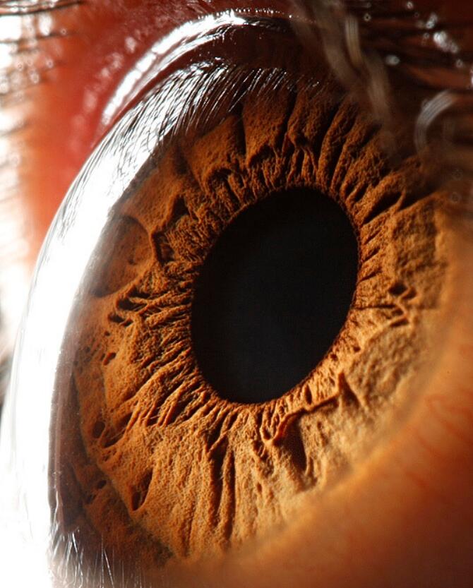 你可能不知道，真正出卖你的是你那“不争气”的瞳孔