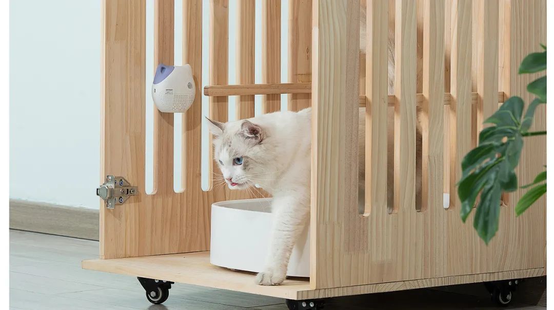 90后跨境电商创业大佬,90后电商小伙事业有成