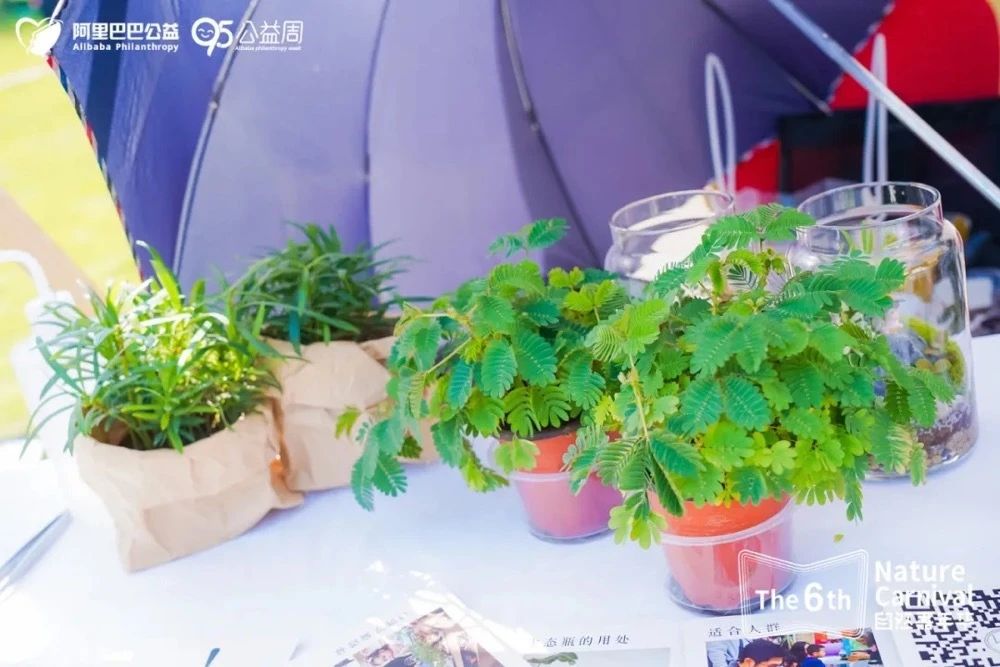 嘉年华快报：杭城万名神兽出动，破解七大自然悬案