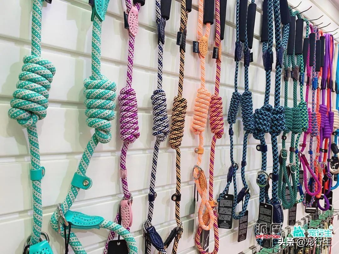 2020CIPS宠物展于广州开展，一大波萌物正在靠近