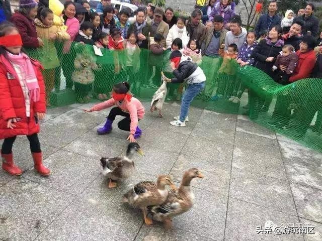 水上龙门与草上鸭场已准备，各位选手请就位