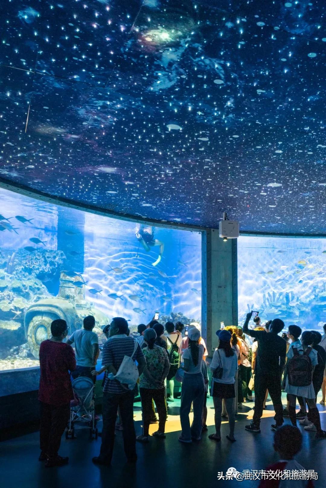 海洋馆武汉冬天,武汉伢周游世界
