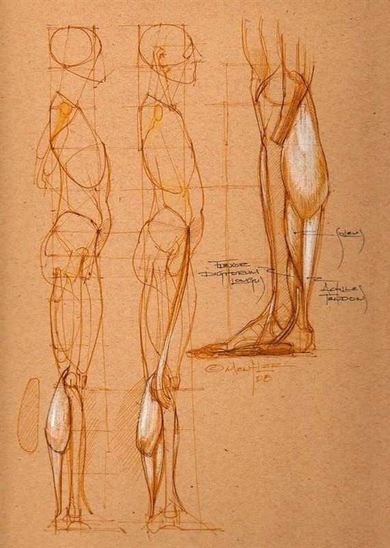 透视表现空间的基本方法,透视解剖学原理书籍