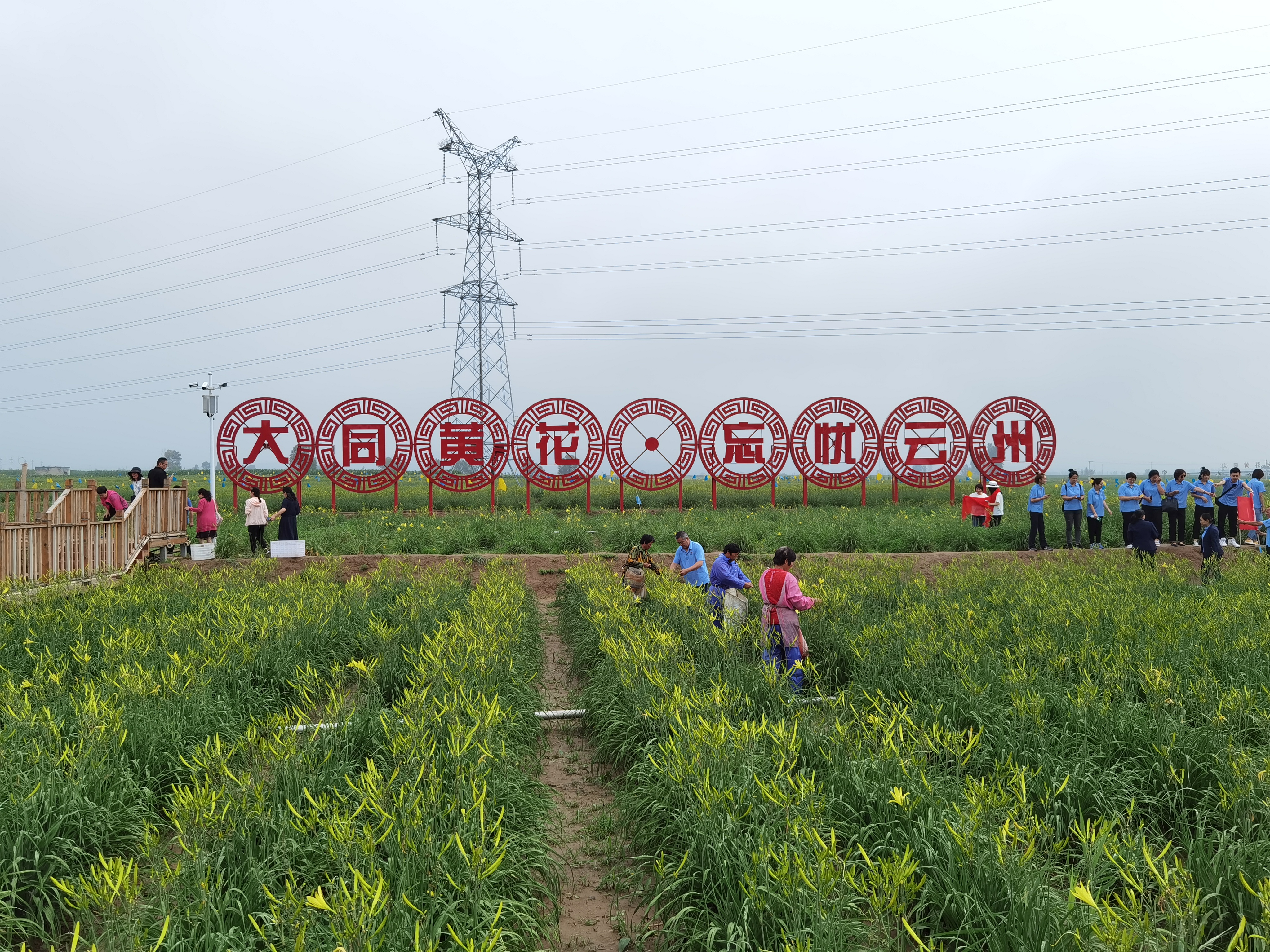 大同气温回暖情况,经济是不是在回暖