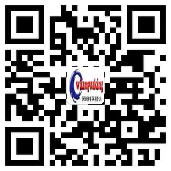 猎头顾问的十七种职业发展路径