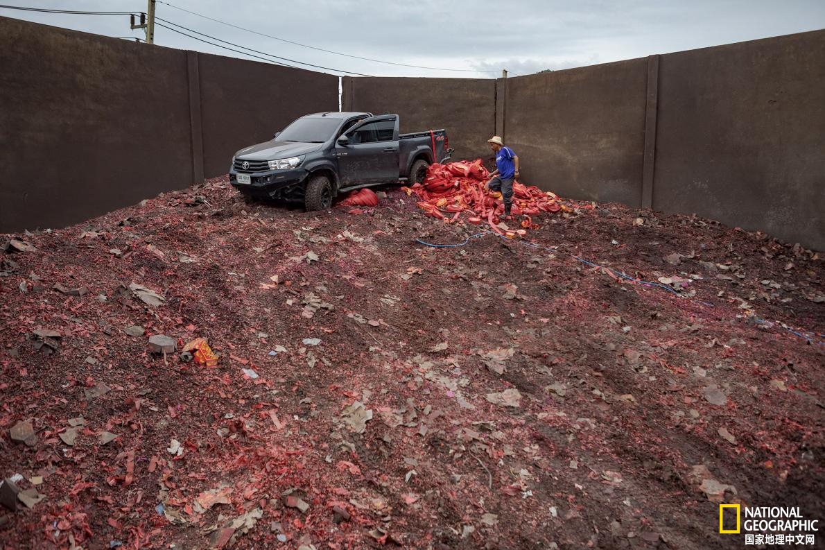 泰国蛋童旅游热潮,泰国蛋童引发旅游热潮