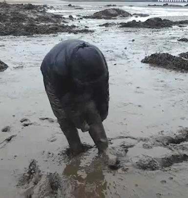 搞笑段子gif图,搞笑gif段子独特的解读