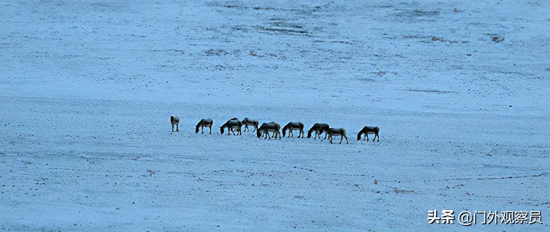 为什么到西藏一定要去阿里,不去拉萨能到那曲吗