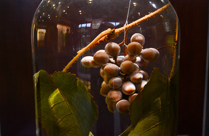 疫情对湖南这里居然丝毫没有影响！0病发，还超级适合徒步旅行！