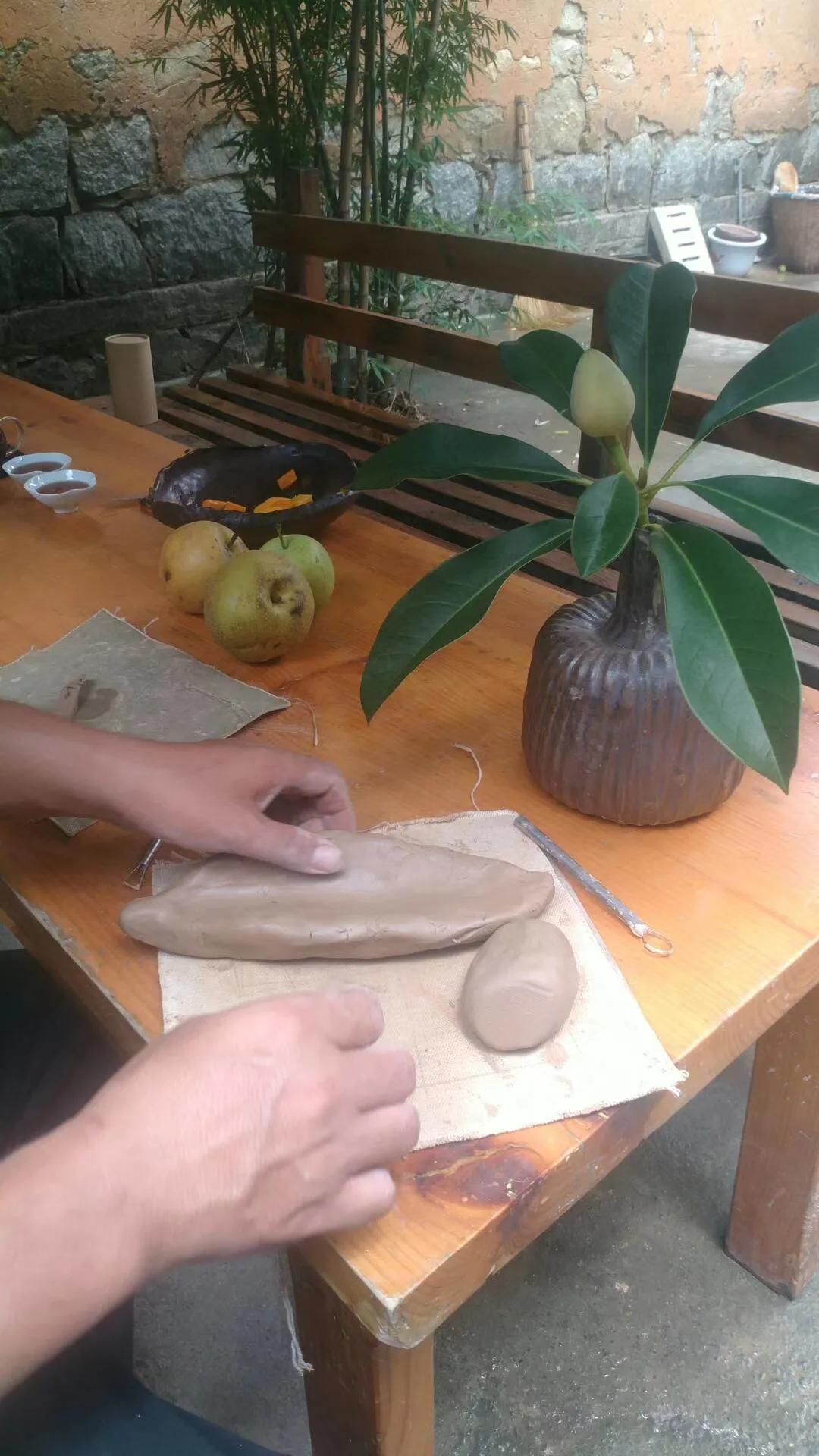 一家三口的田园生活,一家三口在大理的田园边租房15年