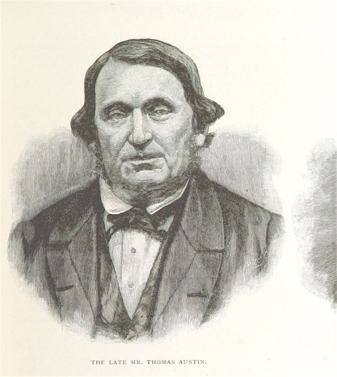 澳大利亚的野兔为什么会泛滥成灾,澳洲野兔泛滥成灾到底有多疯狂