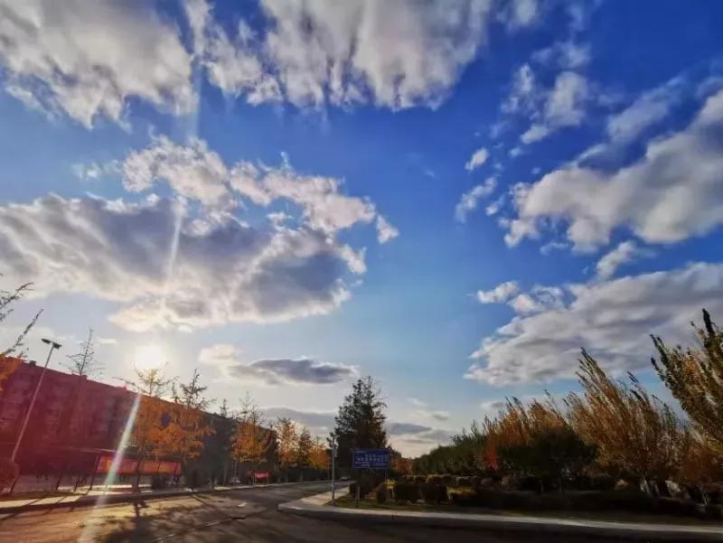 辽宁中医药大学杏林学院规模,辽宁中医学院杏林学院的排名