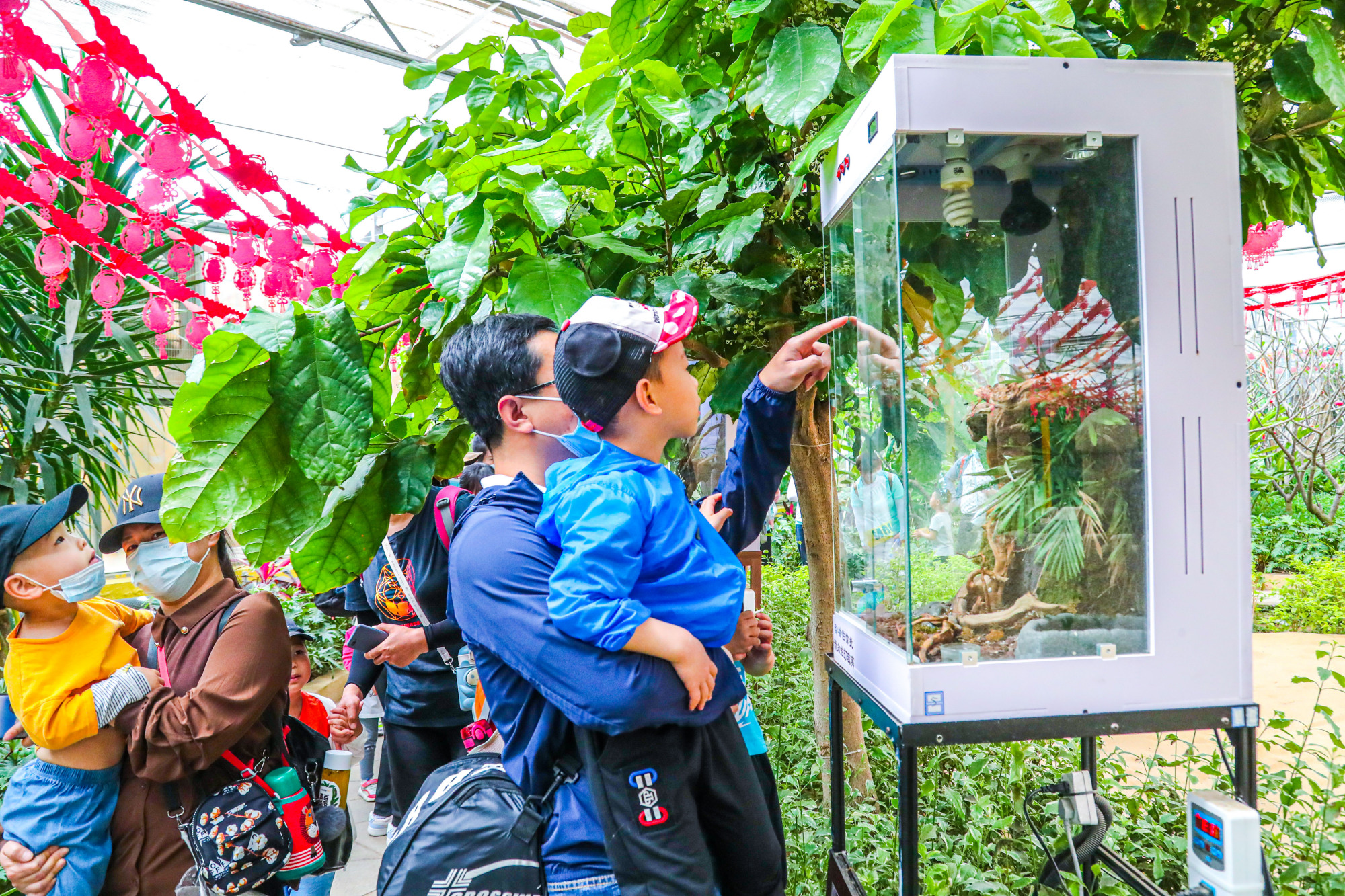 北京最大户外温泉,北京面积最大的温泉