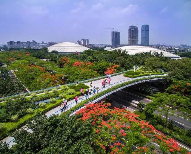 广州11区常住人口：白云区374.3万，花都区164.24万，2区未到百万