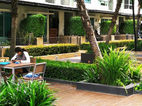 西双版纳和泰国哪个更适合养老,泰国养老的三大缺点