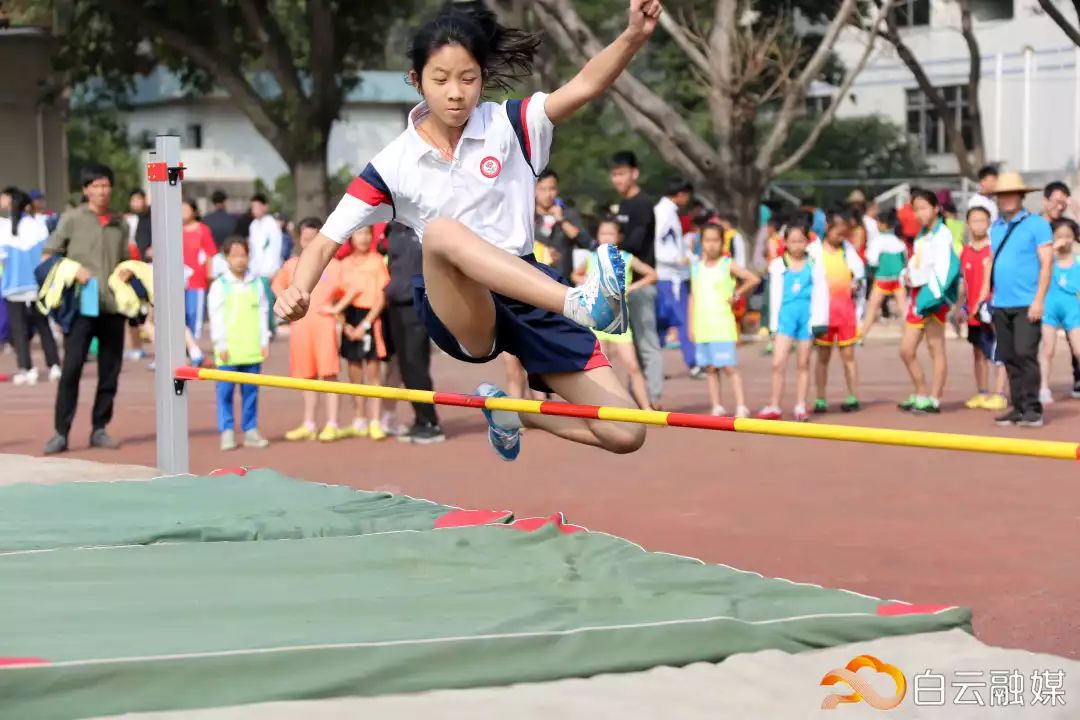 横栏小学校园田径运动会,2019白云区中小学生田径运动会