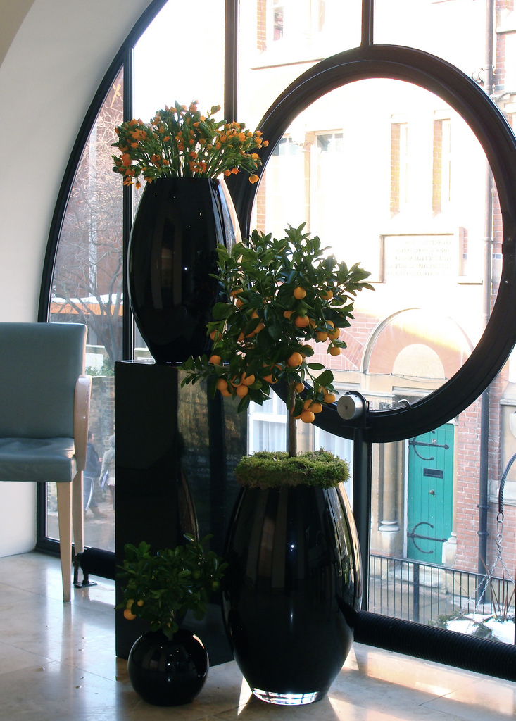 开花店取名字有仪式感的,花店名字唯美浪漫取名