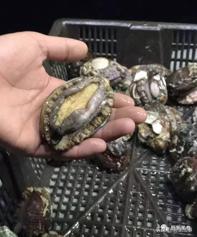 水煮贝壳类海鲜煮多久,海边海鲜用什么水煮好吃