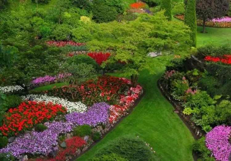 上善若水：《初夏湖边漫步有感》诵/郭星妍