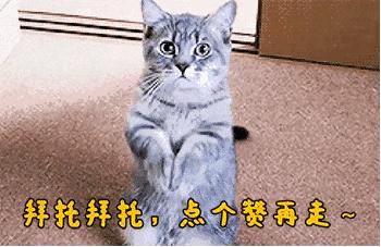 小住旅居,旅居西双版纳是怎样一种体验