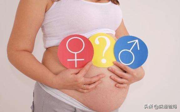 胎儿的性别是由基因决定的吗,胎儿性别如何决定