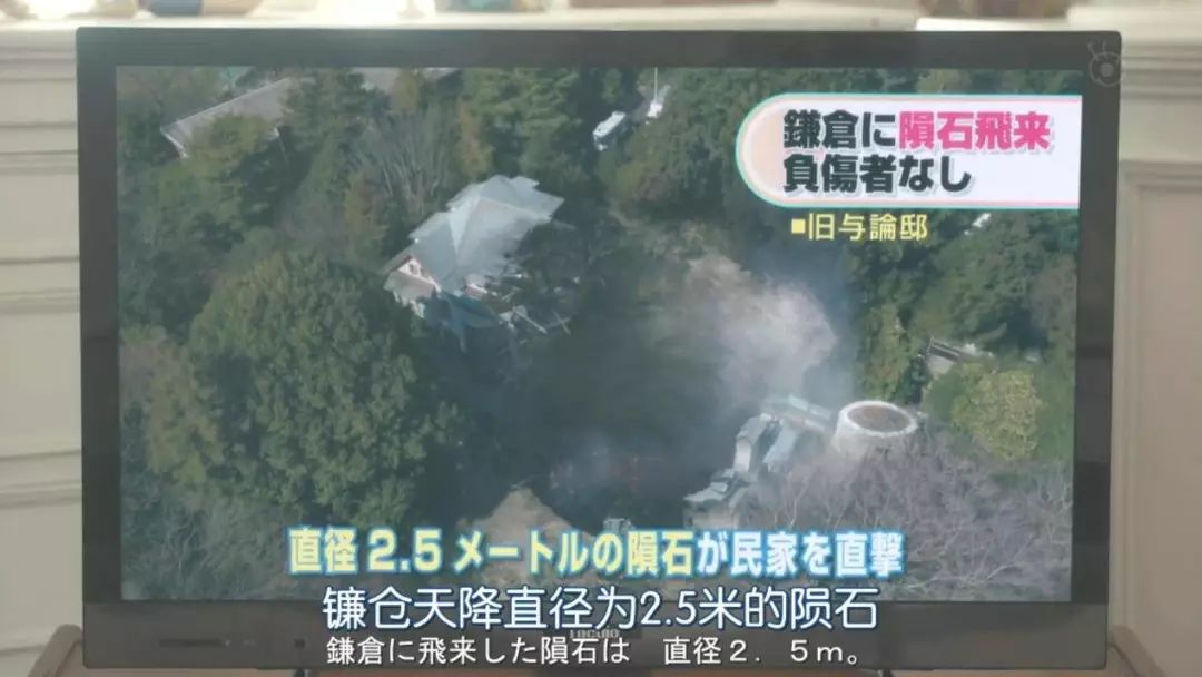 国民老婆,国民老婆全部视频