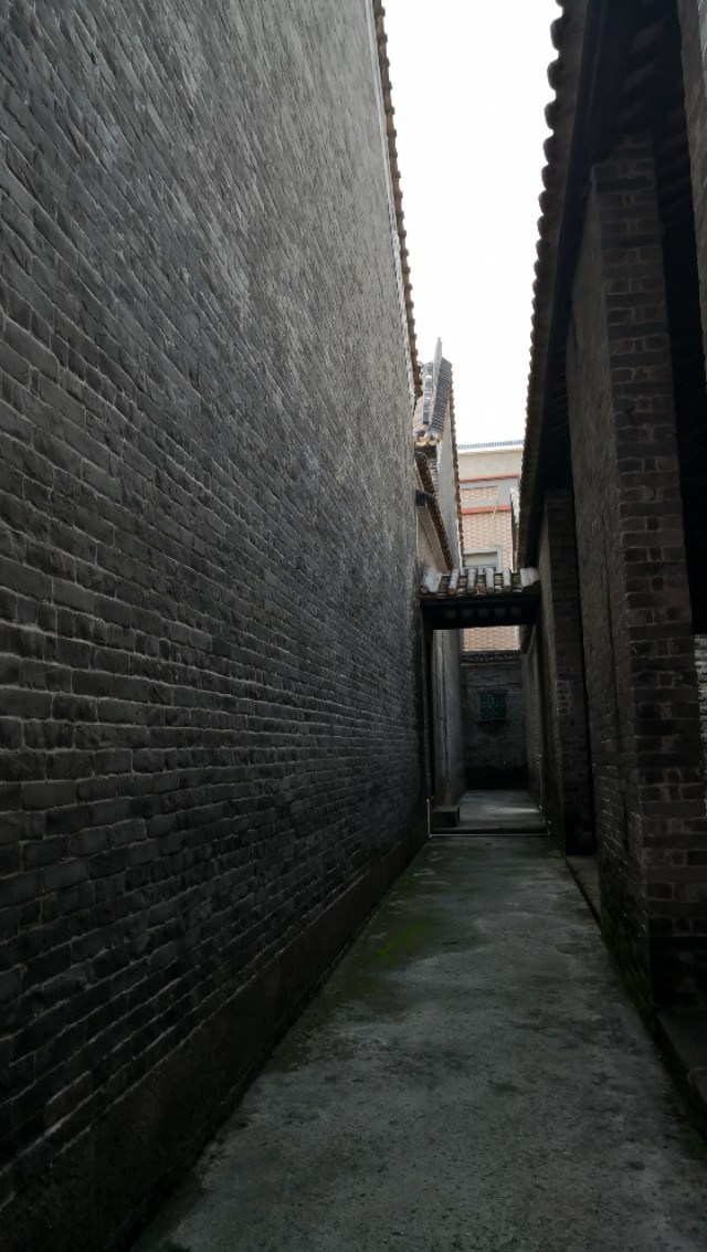 顺德逢简水乡有什么好玩的地方,顺德杏坛逢简水乡一日游攻略