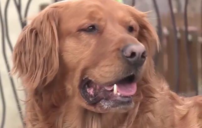 疫情无情人有情感谢邻居帮忙,疫情无情人有情邻居给我送东西