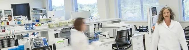 欧陆科技集团上海分公司,欧陆科技集团高级销售