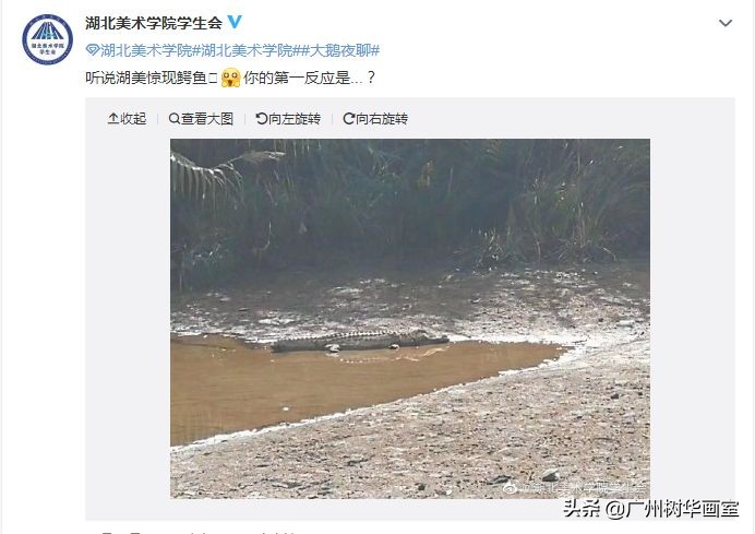 考上湖大是什么水平,考上湖美一年花多少