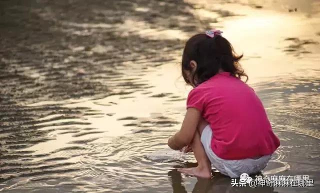 才女高颜值,高颜值才女