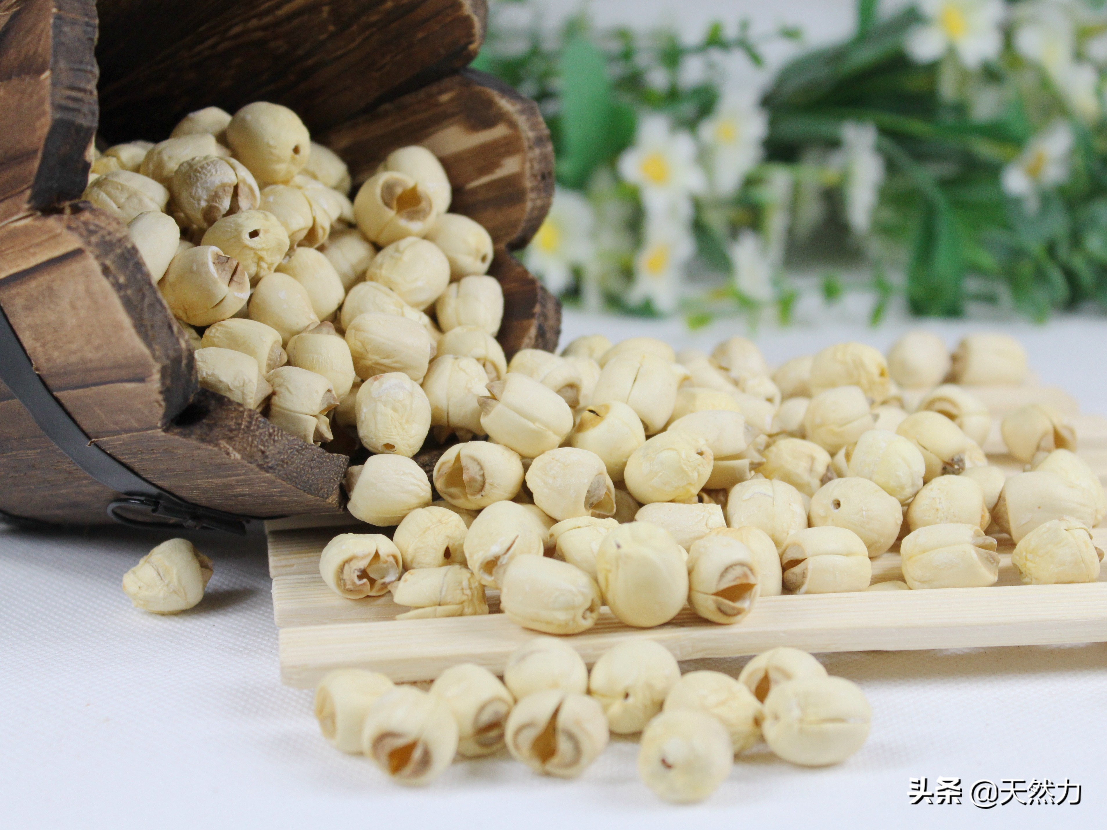 干莲子泡发的正确方法,莲子要不要用油炒