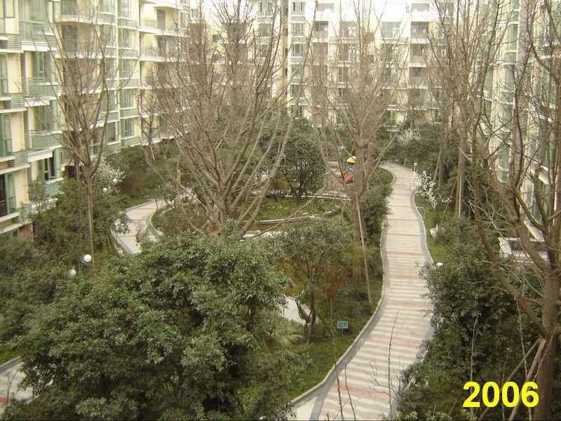 成都网友投诉怡丰新城小区榕树成灾危及行人，高新管委会回应