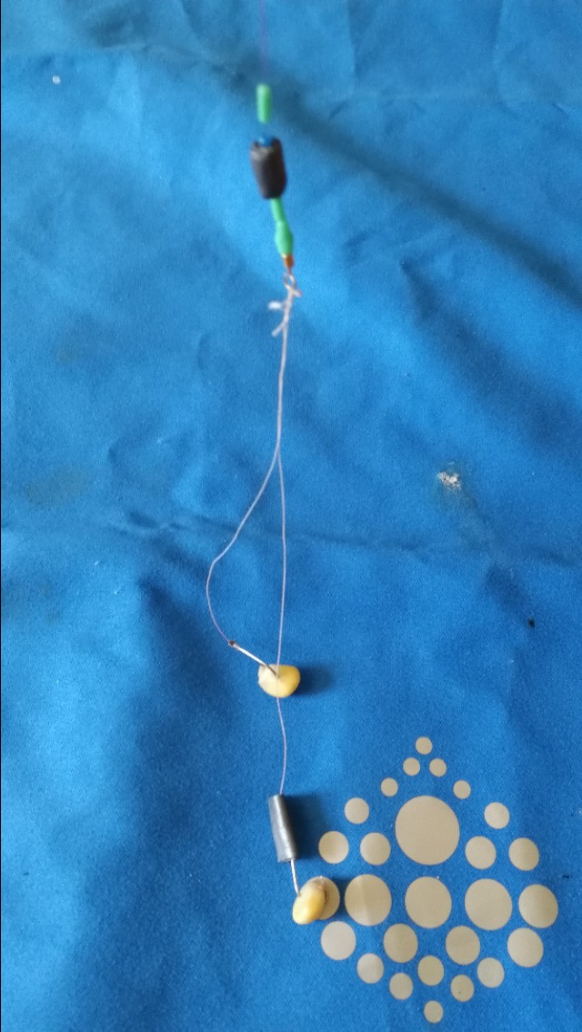 野钓大走水最佳的处理方法,野钓轻微走水最佳的处理方法