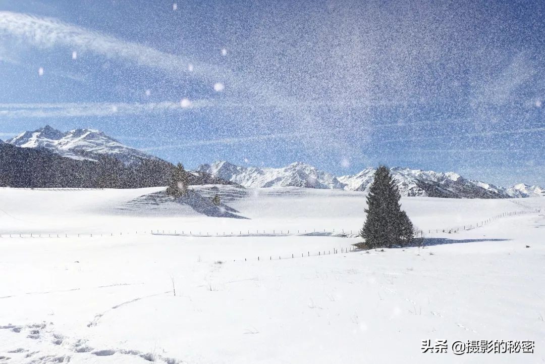 摄影专用手机推荐,摄影手机入门推荐