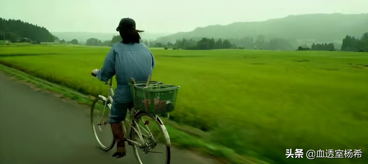 血液透析护理操作流程与指引,血液透析治疗过程中的注意事项