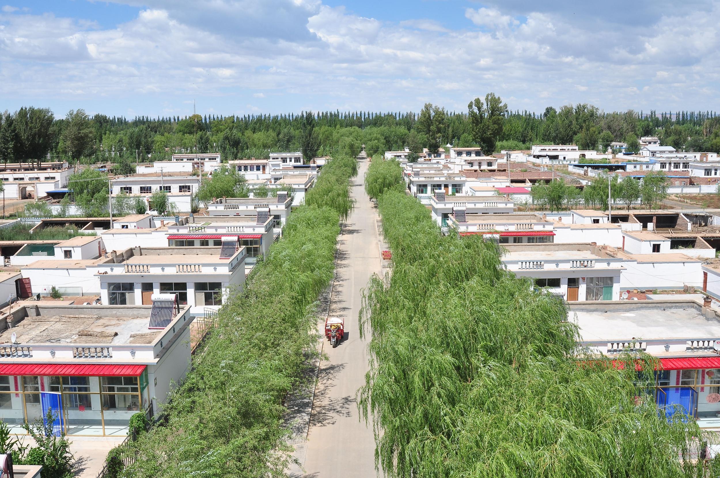 种植西葫芦挣一个亿,农民种植西葫芦亩收入