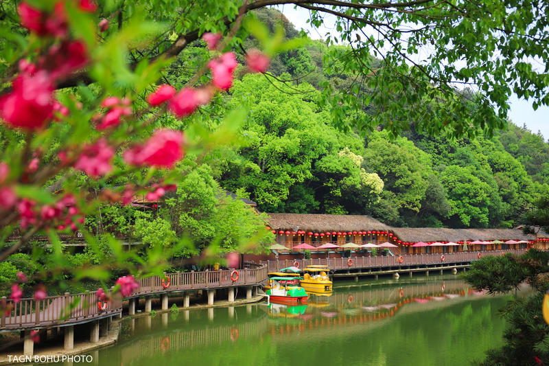 衢州常山春日旅游攻略,常山小众景点