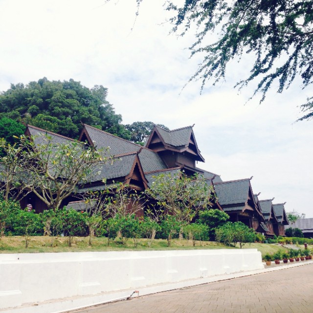 什么是马六甲木,什么是马六甲免漆板