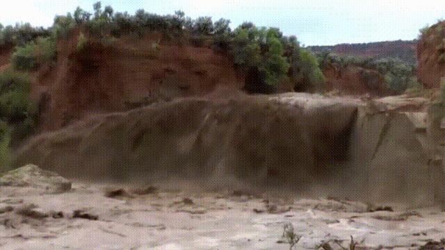 你还认得出她吗,你还认得出她们吗