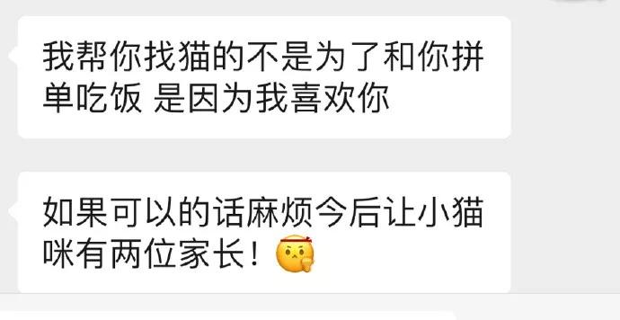 我家猫送亲戚了准备再养一只猫,给我家猫新交了一个嘚瑟的朋友