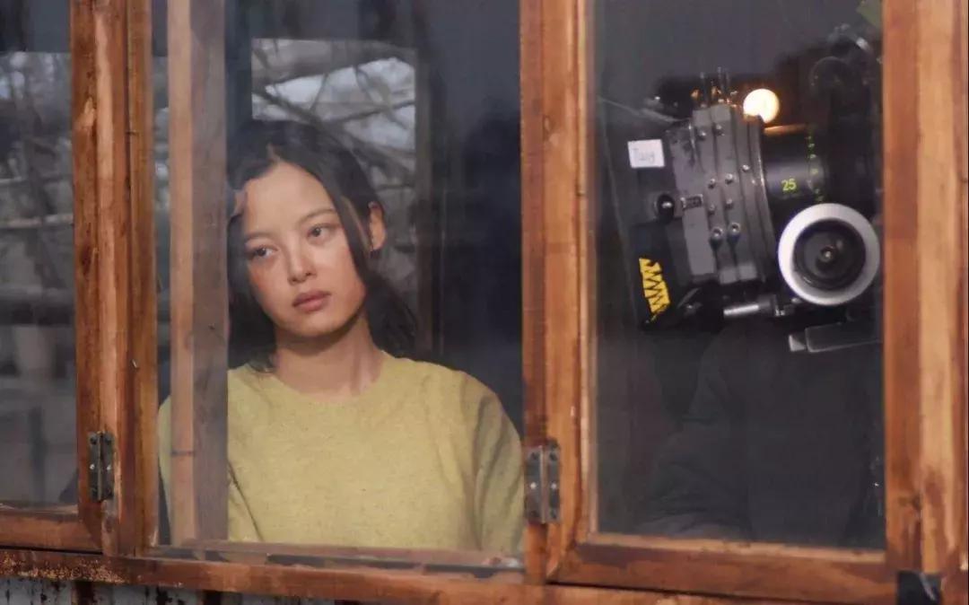 辛芷蕾林飒mv,辛芷蕾扮演林飒图片