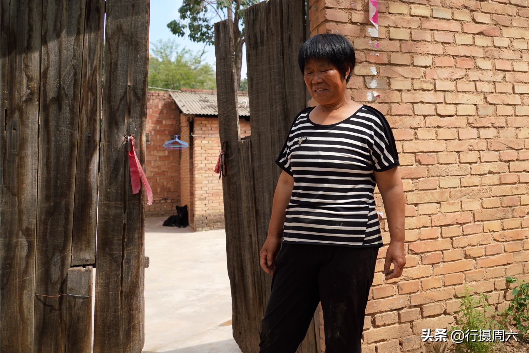 农民大姐家有“黑熊犬”，忠诚聪明1狗护全村，8万不卖