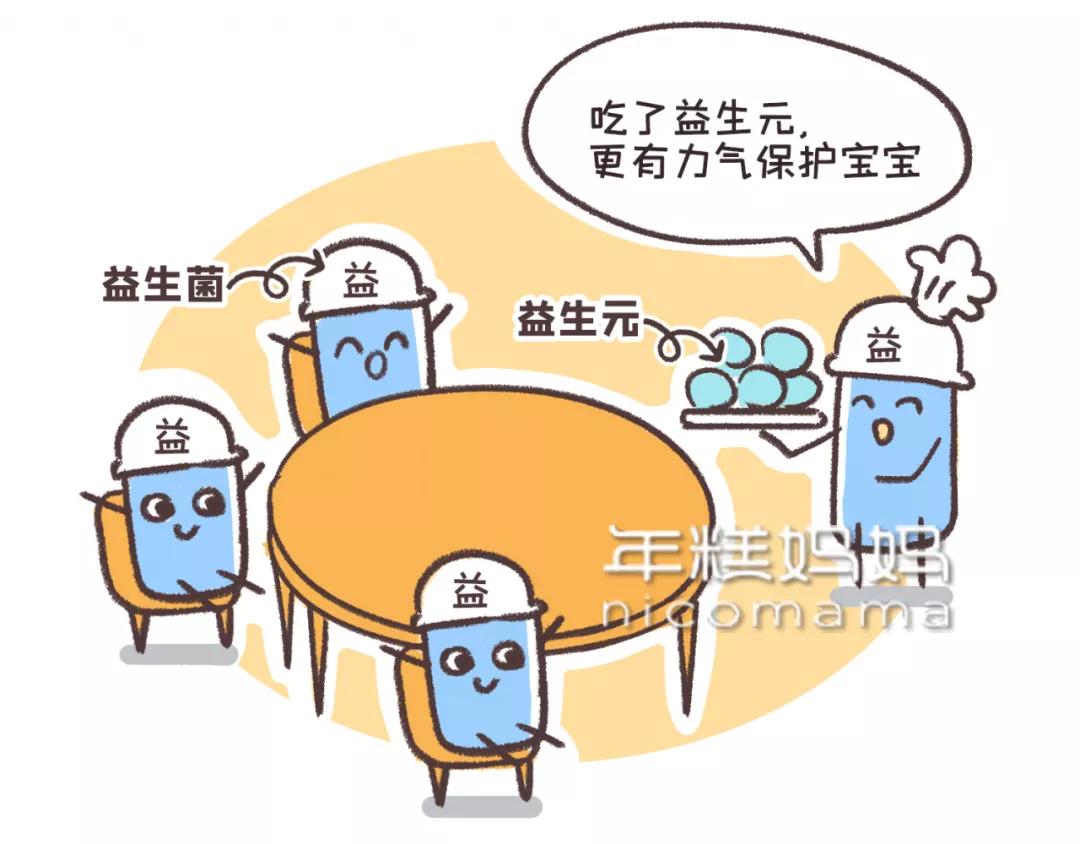 益生菌和益生元及乳酸菌有区别吗,乳酸菌益生元锌