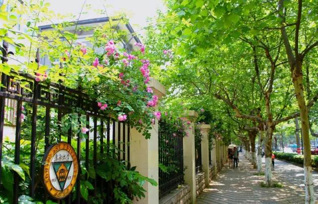 南京是属于哪个省的,南京是现在的哪个城市