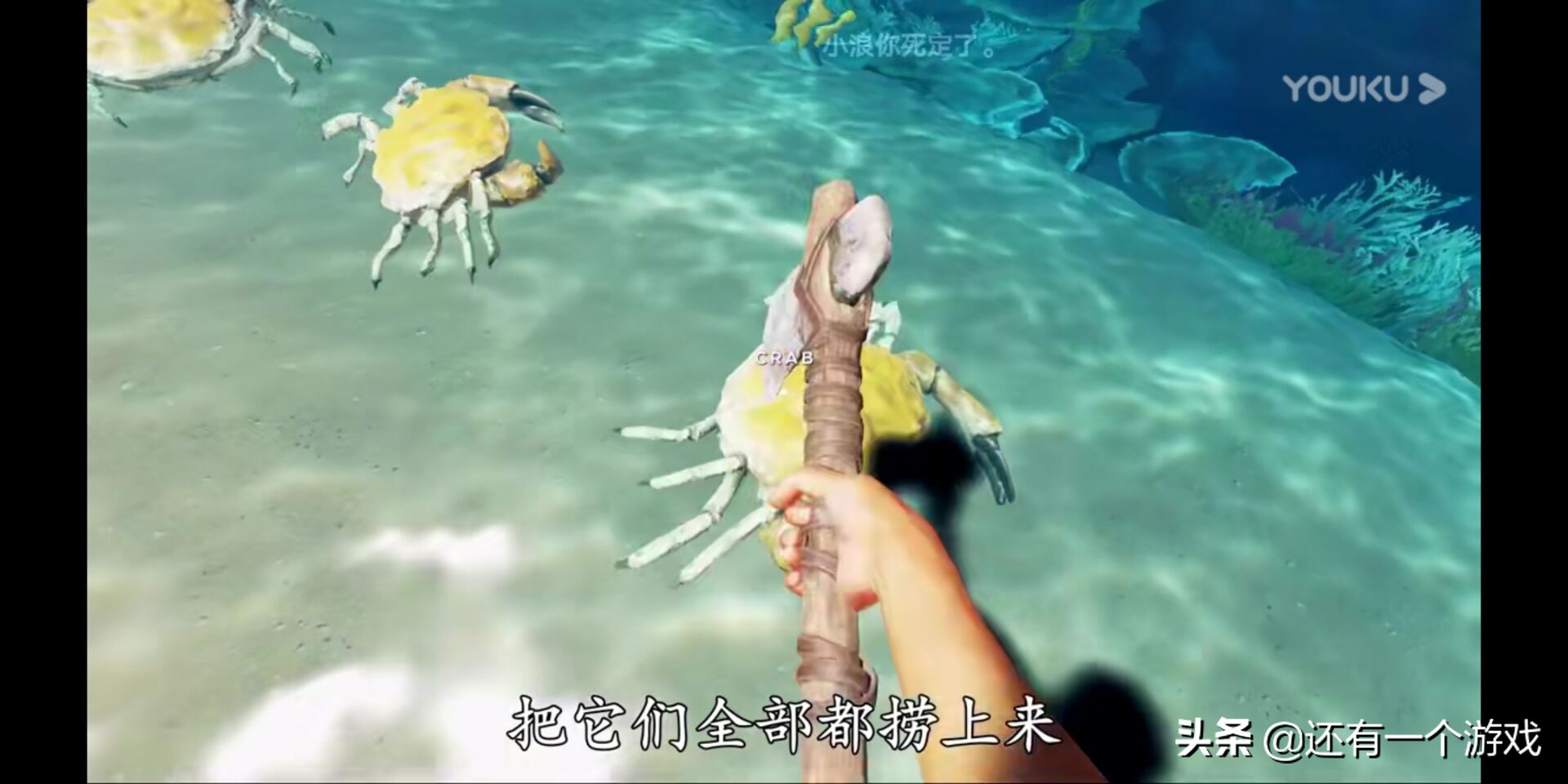 荒岛求生最丰富的资源,荒岛求生小浪是如何逃亡