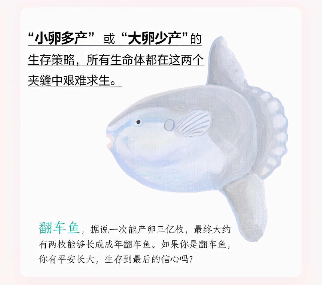 日本关于生死的书,日本动物的生死书