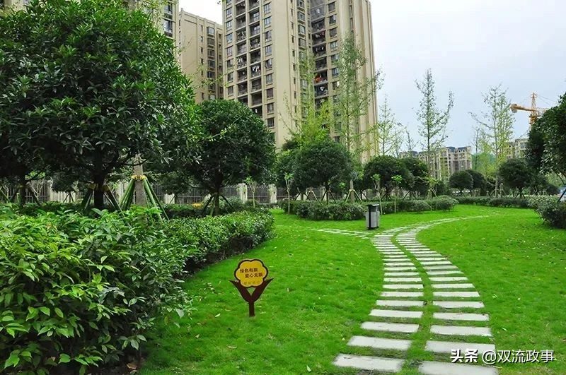 双流美丽公园城市,成都双流湿地公园美景